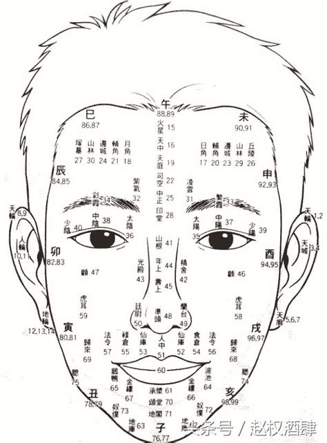 面相年齡運勢